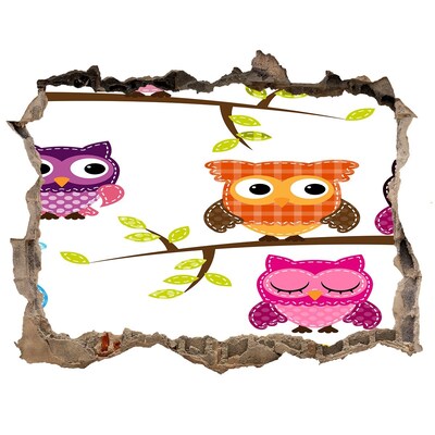 Hole wall sticker Colorful owls on a branch