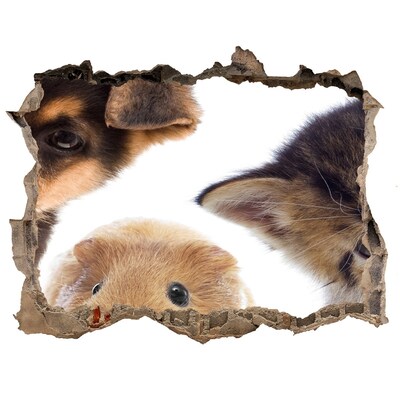 3D wall hole Pets