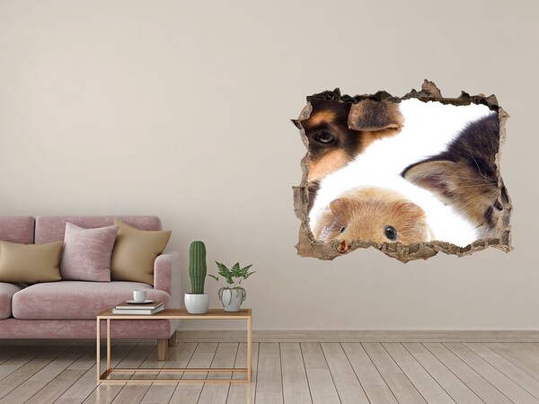 3D wall hole Pets