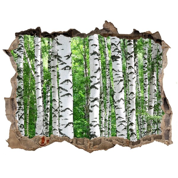 Hole wall sticker A Hole-in-the-Wall Forest Oasis