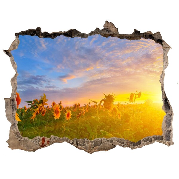 3D wall hole Sunflowers in the setting sun