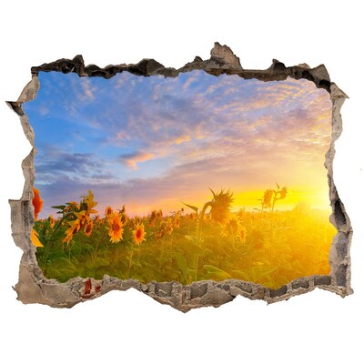 3D wall hole Sunflowers in the setting sun