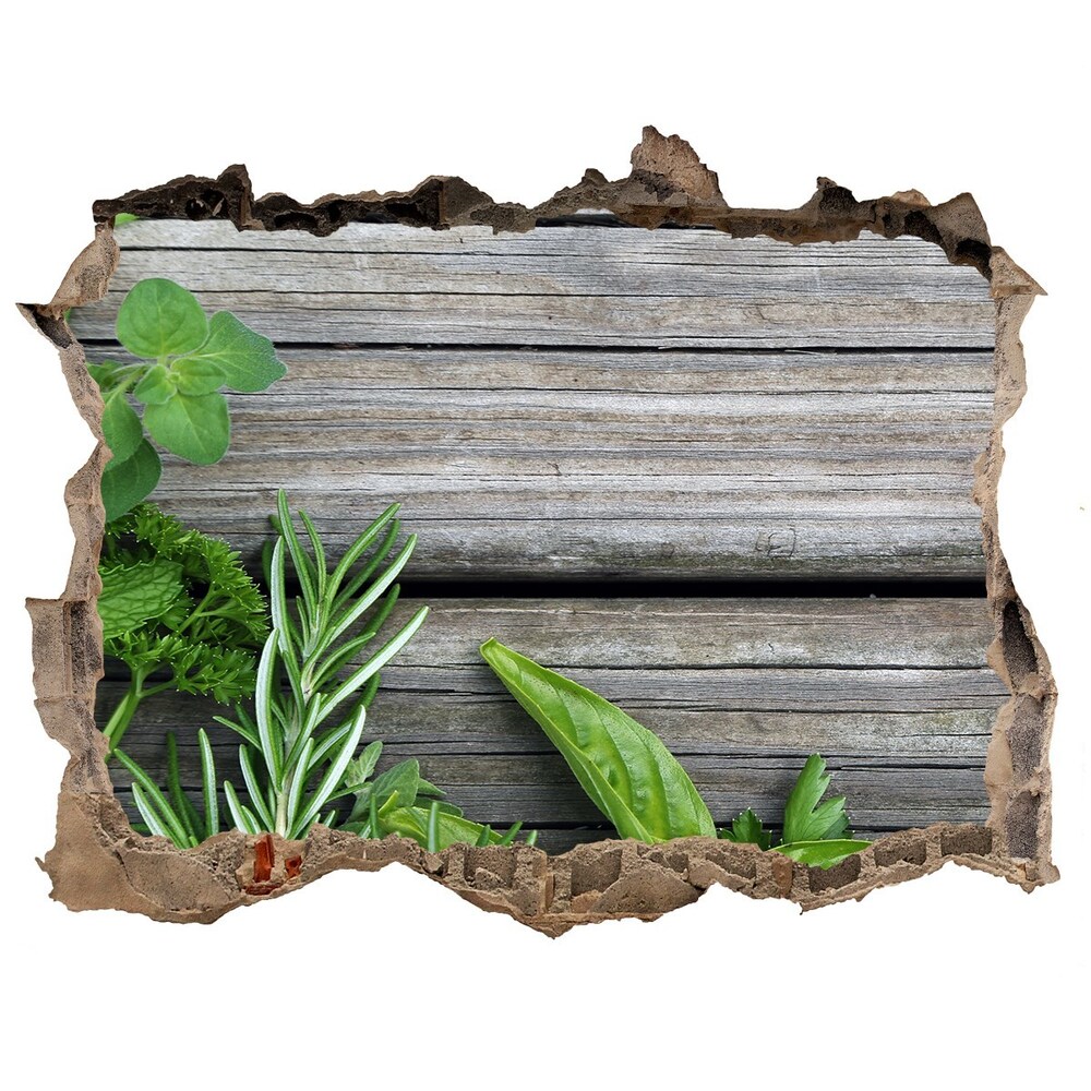 Hole wall sticker Wooden background herbs