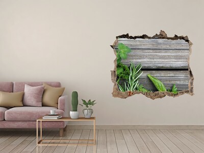 Hole wall sticker Wooden background herbs