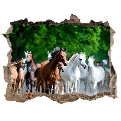 Hole wall sticker A herd of horses on the run