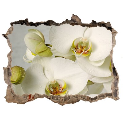 3D wall hole wallpaper White orchid