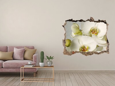 3D wall hole wallpaper Flowers in concrete
