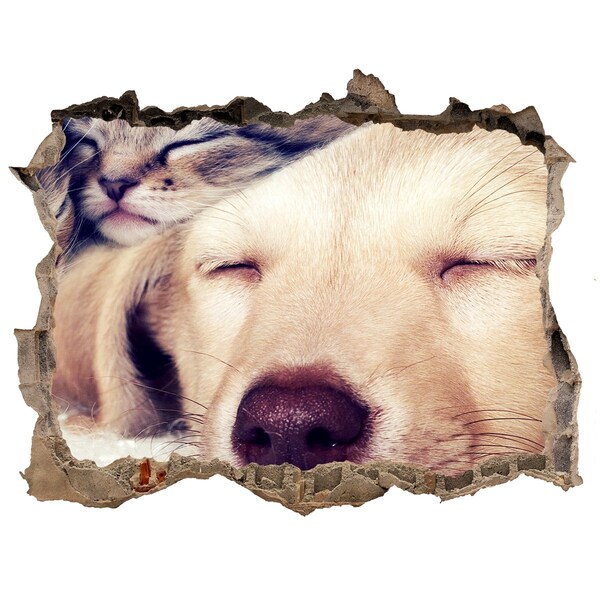 Hole wall sticker Cute dog in a hole in the wall