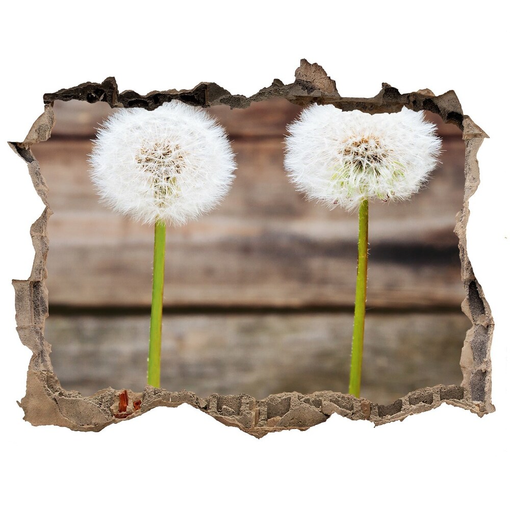 3D wall hole wallpaper dandelions