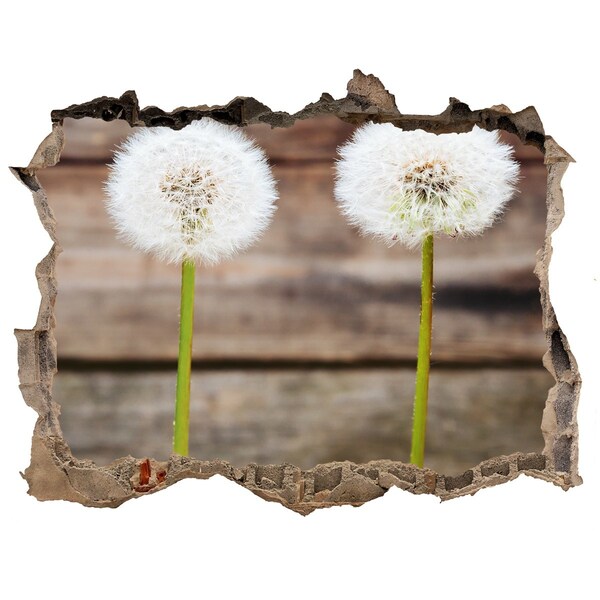 3D wall hole wallpaper Dandelion flowers in ruins