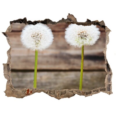 3D wall hole wallpaper Dandelion flowers in ruins
