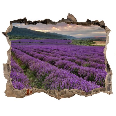 Hole in the wall sticker Lavender fields in the rays of the setting sun