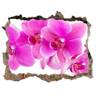 Hole wall sticker Orchid flowers in a concrete hole