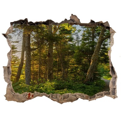 3D wall hole wallpaper Forest Oasis