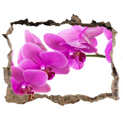 Hole wall sticker Orchids through a hole in the wall