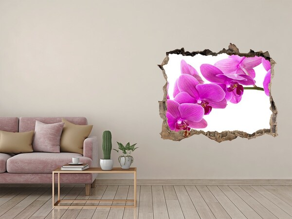Hole wall sticker Orchids through a hole in the wall