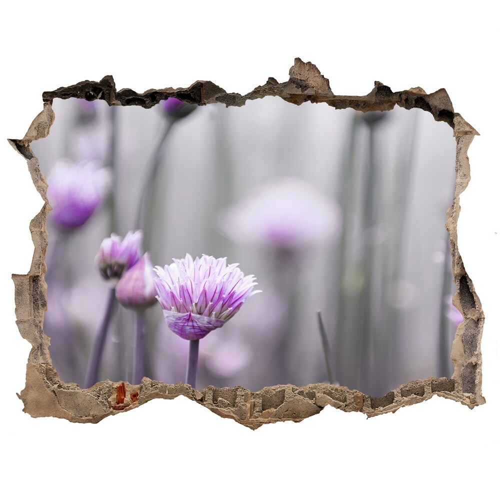 Hole in the wall decal Chives flowers