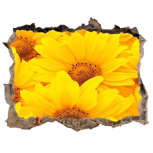 Hole in the wall decal Sunflowers in a Hole in the Wall