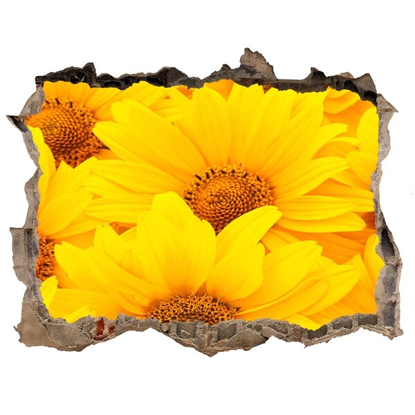 Hole in the wall decal Sunflowers