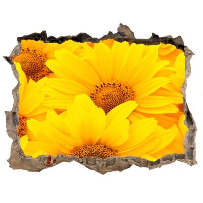 Hole in the wall decal Sunflowers in a Hole in the Wall