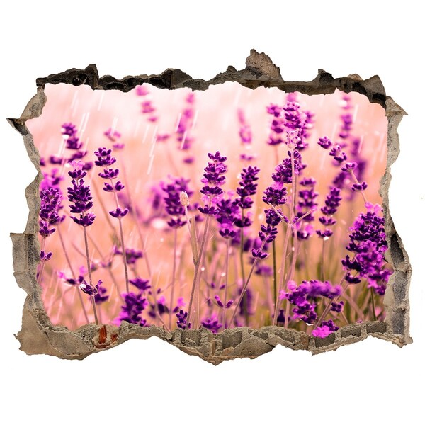 Hole in the wall decal Lavender flower meadow