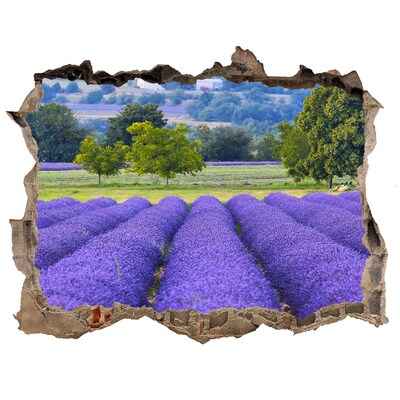 Hole in the wall sticker Lavender field