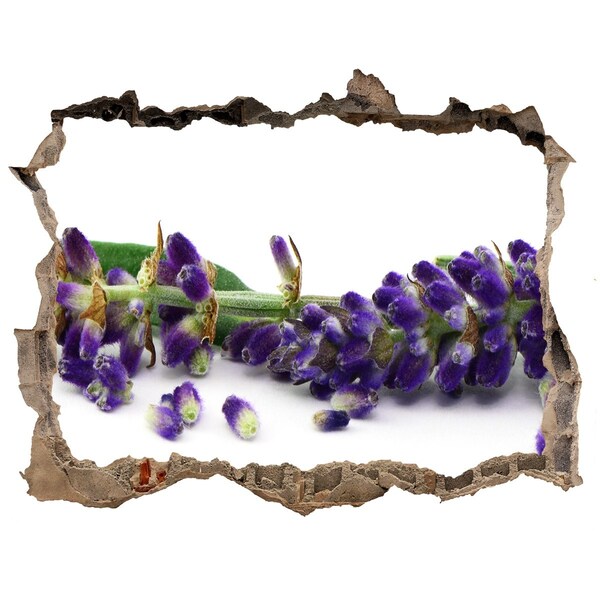 Hole in the wall sticker Lavender flower through a hole in the wall