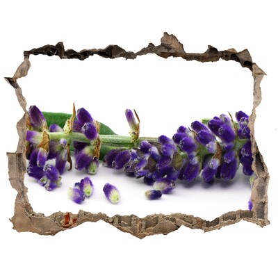 Hole in the wall sticker Lavender