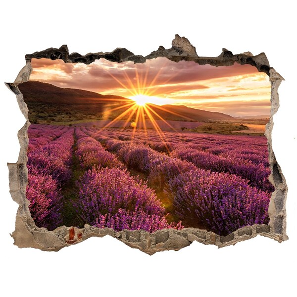 Hole in the wall decal Lavender field at sunset