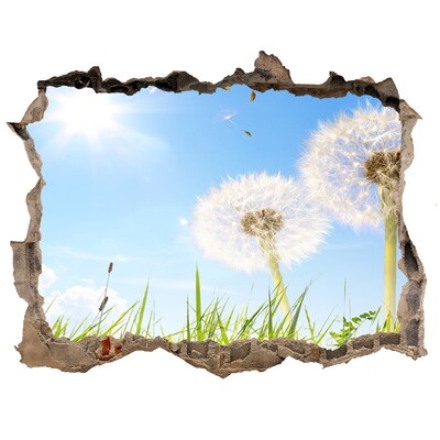 Hole in the wall decal Dandelion flowers in the sky