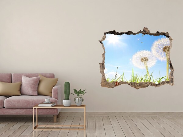 Hole in the wall decal Dandelion flowers in the sky