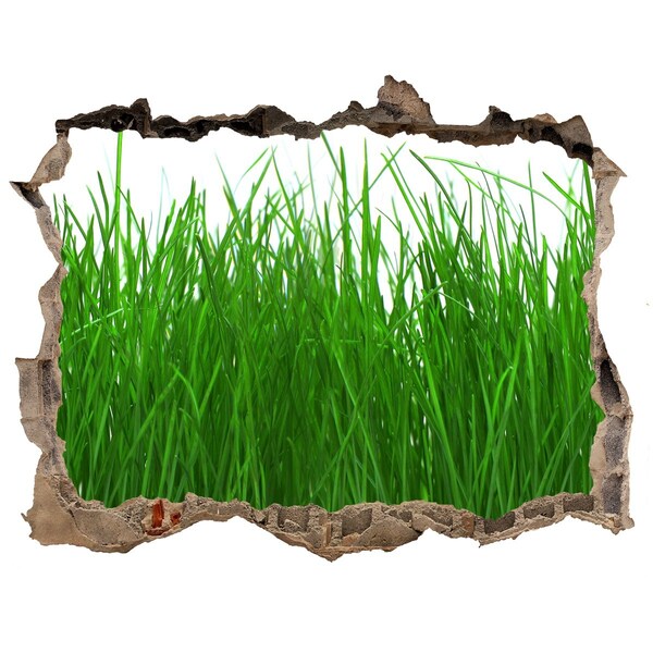 Hole in the wall decal Green meadow through a hole in the wall