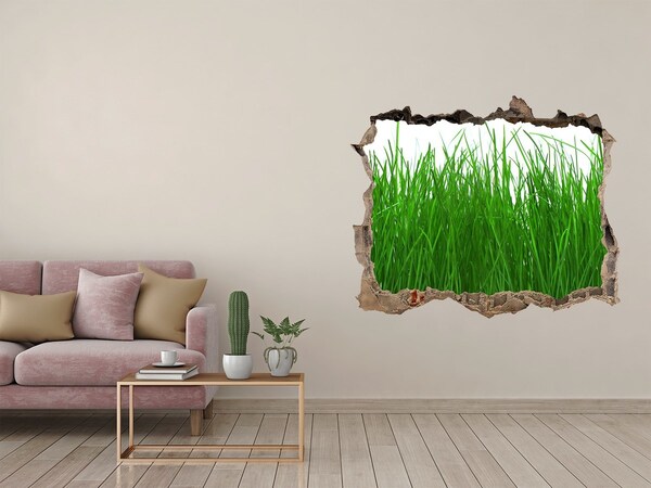 Hole in the wall decal Green meadow through a hole in the wall