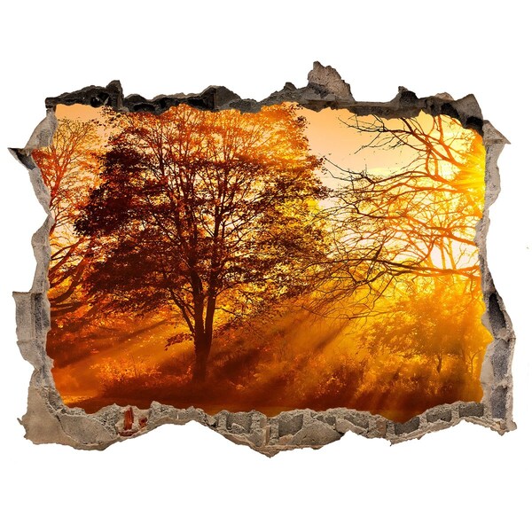 3D wall hole Golden rays of sunshine in the forest