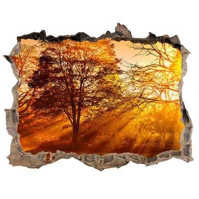 3D wall hole Golden rays of sunshine in the forest