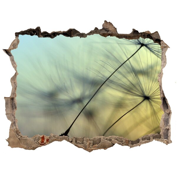Hole wall sticker Dandelion Dream