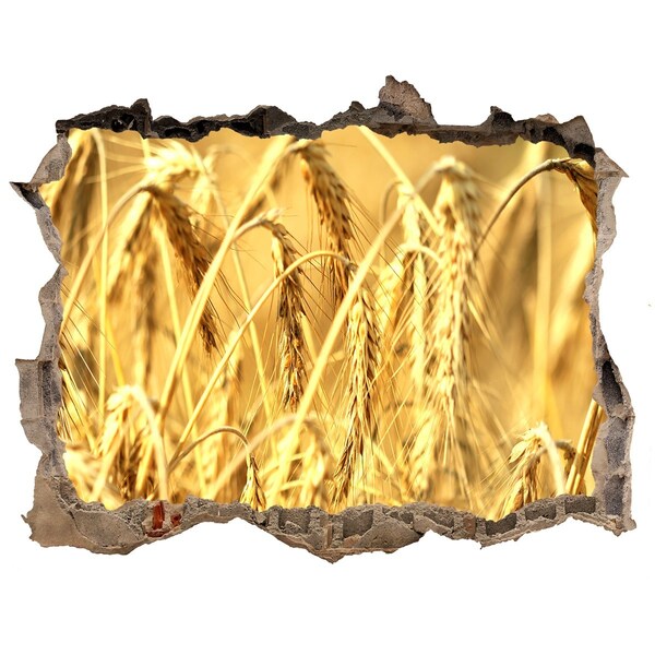 3D wall hole Golden grains in the sunshine