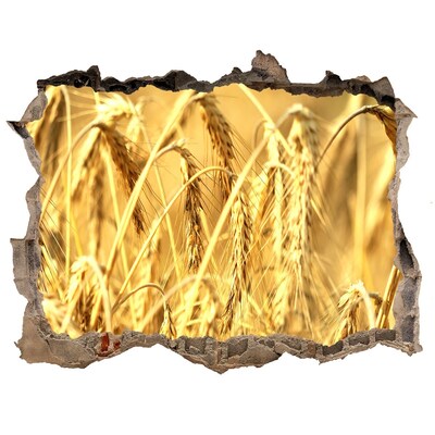 3D wall hole Golden grains in the sunshine