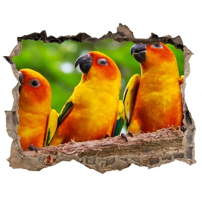 3D wall hole Tropical parrots in a hole in the wall