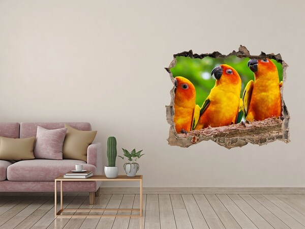 3D wall hole Tropical parrots in a hole in the wall