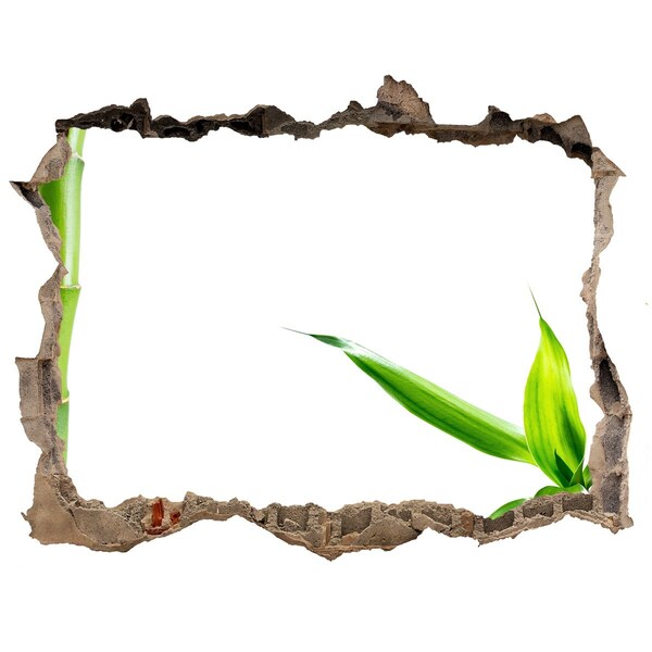 Hole wall sticker Green plant through a hole in the wall