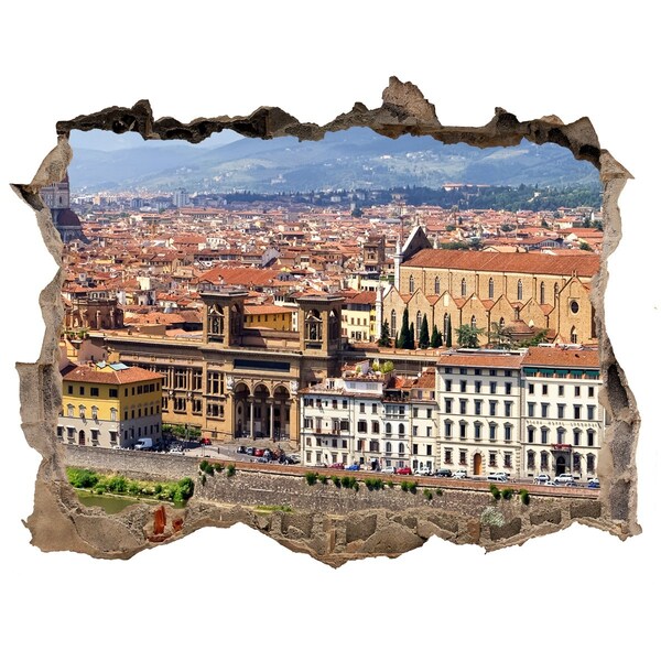 Hole wall sticker View of Florence