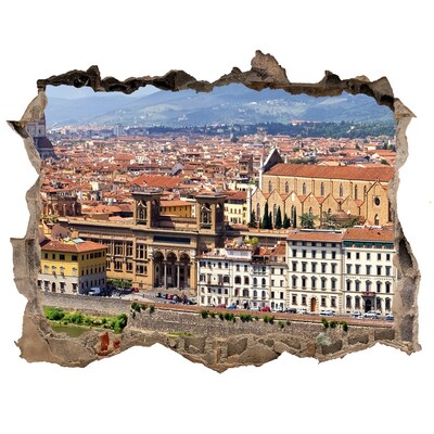 Hole wall sticker View of Florence