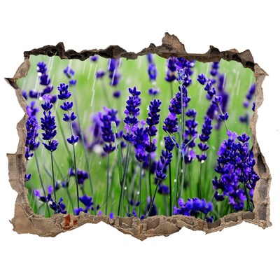 Hole wall sticker Lavender flower meadow
