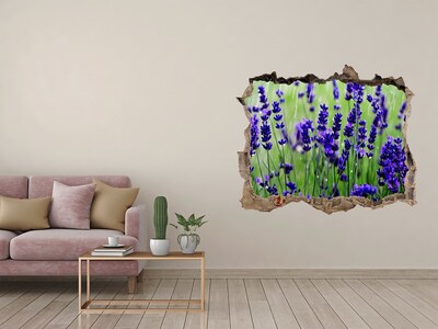 Hole wall sticker Lavender flower meadow