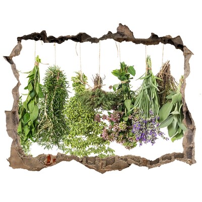 3D wall hole wallpaper Herb garden in the wall