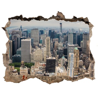 Hole wall sticker View of New York