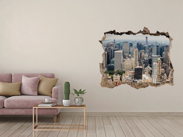 Hole wall sticker View of New York