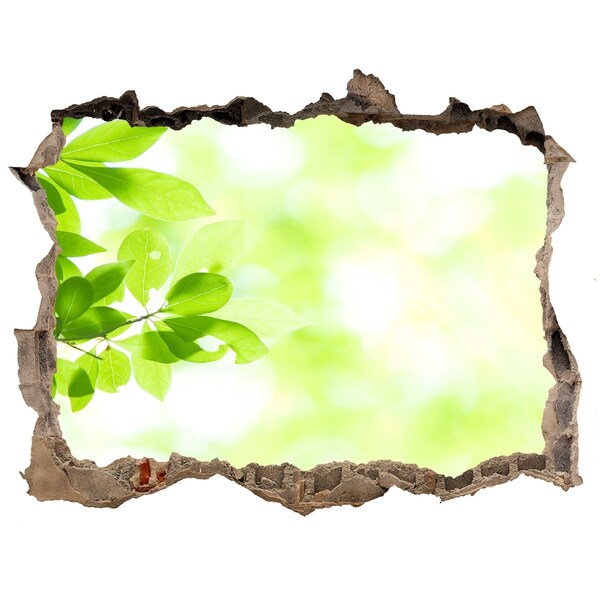 3D wall hole wallpaper Green paradise behind the wall