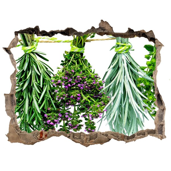 Hole in the wall decal Herbs on a string